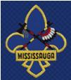 Mississauga Area